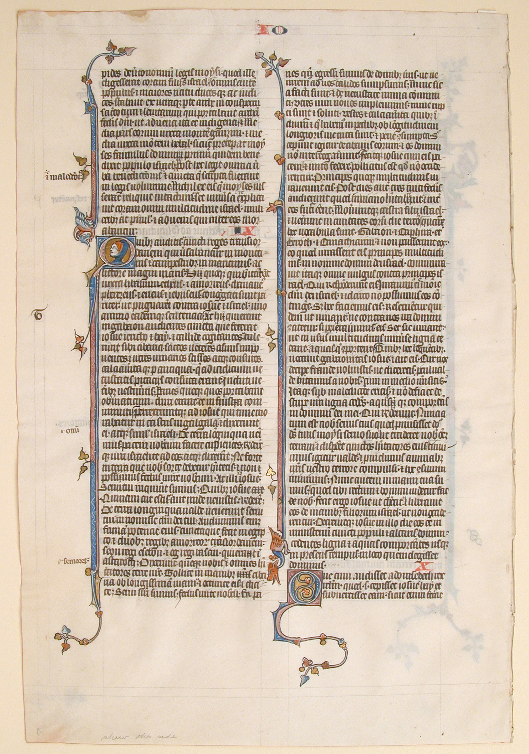 A leaf from a Bible manuscript, around 1280